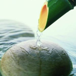 Aprende técnicas arquitectónicas y de Ingeniería que se han estado utilizando en algunas de las construcciones más innovadoras del planeta.