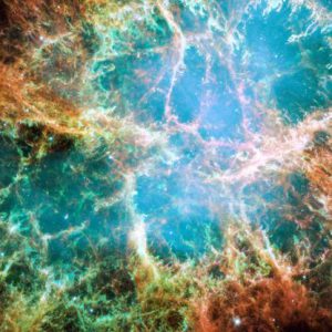 Curso-taller dirigido por el Dr. Javier Novo -médico, genético y bioquímico- donde profundiza sobre el origen de la vida desde una visión científico-teológica.