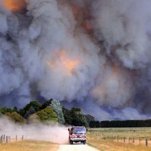 Curso dirigido a Profesionales y estudiantes que quieran aprender a cómo la Tecnología y las TICs pueden ayudar a prevenir desastres naturales.