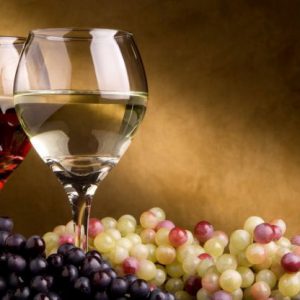 ¿Te gusta el mundo del vino? En este taller 100% práctico encontrarás a distintos expertos mostrando sus técnicas para identificar los taninos y realizar catas.