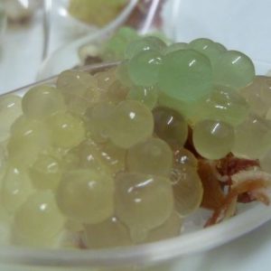 Descubre las técnicas inventadas por cocineros como Ferrán Adriá y cómo podemos aplicarlas en cocinas más tradicionales, con resultados sorprendentes.