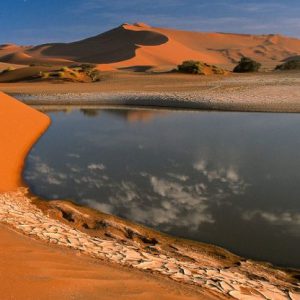 Curso dirigido a profesionales y estudiantes del sector agrario que quieran aprender sobre técnicas de gestión del agua en zonas áridas.