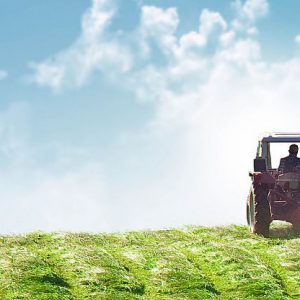 Aprende a conjugar ambos factores a la hora de realizar negocios, mejorando el resultado final y la conceptualización del mismo por tu entorno.