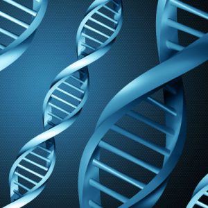 Ciclo de conferencias sobre temas de actualidad relacionados con la Genética y sus aplicaciones. Idóneo para estudiantes de ciencias y curiosos.