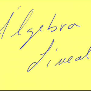 Curso de álgebra para universitarios donde se recogen algunos de los problemas tipo.