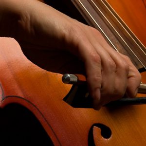 Aprende a tocar el Violonchelo desde el principio. Este videocurso sencillo nos va a dar una visión completa de como empezar a estudiar violonchelo desde el principio.