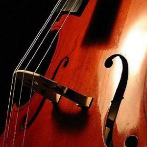 En este curso aprenderás a afinar tu violonchelo y aprenderás dos ejercicios para mejorar tu capacidad auditiva.