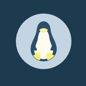 Curso Online de Linux, en el que vas a aprender a dominar completamente el Sistema Operativo creado por Hackers. Es hora de aprender de forma práctica.