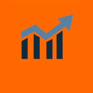 Aprende sobre el mercado, sus eficiencias e ineficiencias, y empezarás a ver la economía de otra manera