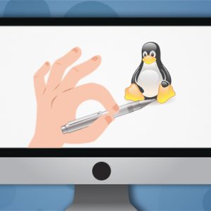 9 horas de curso para empezar a dominar todo lo necesario para administrar sistemas. Útil para LPI/LPIC (Nivel1) y RHCSA