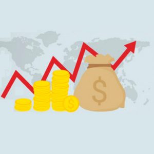 Aprenderás los conceptos para entender las finanzas de tu empresa, interpretar los estados financieros y evaluar tu compañía.