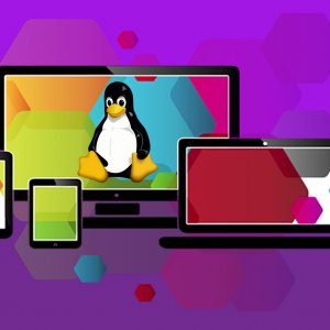 Seguridad Báśica y Good Hacking para servidores y Desktops
Mejores practicas en el ambito de la seguridad informatica
Conoceras las herramientas que útilizan lo hackers y algunos de sus metodos de intrusión
Configuración de IPTABLES,  Mitigaciones de Seguridad