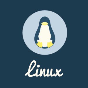 Curso desde cero para adentrarte en el maravilloso mundo de Linux y usarlo sin miedos. Aprende desde cero, paso a paso y de forma sencilla.