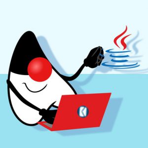Aprende desde cero los conceptos básicos de programación hasta el desarrollo de un sistema completo con Java.