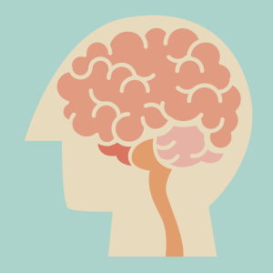 Curso dirigido a aficcionados y estudiantes de medicina o ciencias que quieran profundizar en el extraordinario mundo de los circuitos neuronales.