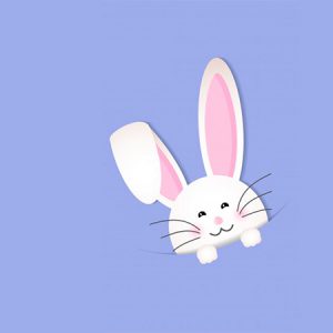 Es este curso oline vas aprender a hacer esta linda conejita de tela paso a paso