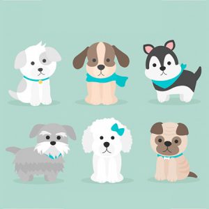 En este videocurso online vas a aprender a vestir de una manera original a tu mascotas para que no pase frío estos días de invierno.