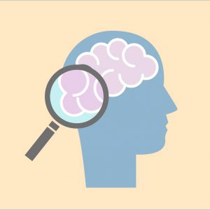 Aprende de ramas tan diversas como Psicología social, general, desarrollo, familia, pedagogía, y didáctica.