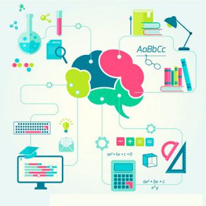 Aprendizaje y memoria. Bases neurales del aprendizaje y la memoria. Categorías y sistemas del aprendizaje y la memoria. Orígenes de los programas neuro-educativos. Organización del sistema nervioso. Neuroetica. Relación cuerpo-mente. Atención y motivación.