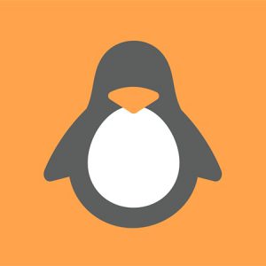 En este curso conocerás algunas de las principales distribuciones de Linux, descubre cuales te pueden interesar más.
