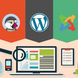 Aprenderemos a instalar la ultima versión de todos los CMS, veremos de donde podremos descargarlos y como instalarlos en nuestros servidores.