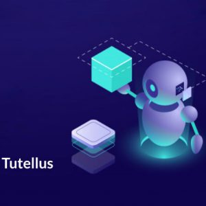 Aprende sobre las bases de ambas tecnologías y en cómo convergen, con ejemplos prácticos de uso de soluciones de inteligencia artificial en proyectos de blockchain. Con Santiago Márquez Solís, de Blockchain España