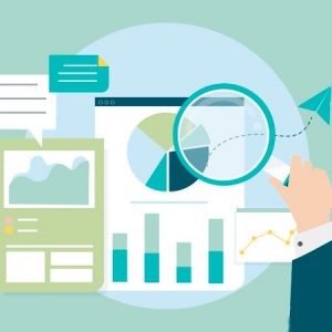 En este curso se le enseñará al participante a entender y a elaborar la visión, la misión y los valores