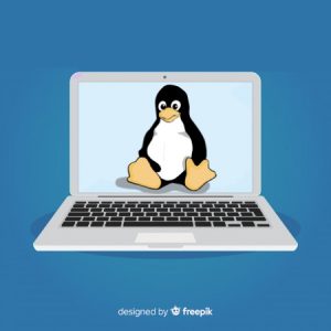 Bases para principiantes en el Sistema Operativo Linux y una breve introducción al uso del editor Vi y uso del procesador de líneas awk.