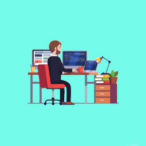 Curso básico de Vue.js Framework de Javascript