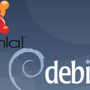 En este curso usaremos el sistema operativo Debian GNU/Linux 10 para crear una página web desde cero usando Joomla 3