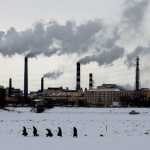 Seminario donde descubrirás una visión generalista del cambio climático y su impacto en las corporaciones.