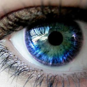 Aprende sobre diferentes patologías relacionadas con los ojos, identíficando los primeros síntomas que te ayudarán a controlar la enfermedad.