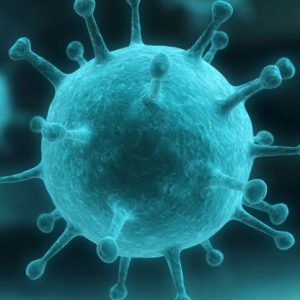 Aprende diferentes técnicas que ayuden a mejorar tu calidad de vida preveniendo para ello un amplio rango de enfermades.