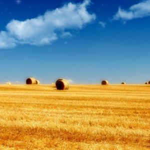 Seminario dirigido a profesionales del sector que quieran aprender o mejorar sus técnicas y estrategias comerciales.