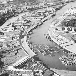 Curso donde descubrirás el origen de la Universidad, su historia y su recorrido hasta hoy en día.