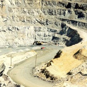 Aprende, de la mano de profesionales con dilatada experiencia, las ventajas, riesgos, beneficios y oportunidades que ofrece este sector.