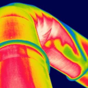 Aprende sobre transmisión de Calor y los distintos equilibrios térmicos entre estados con este curso dirigido a estudiantes de ciencias e ingenieros.