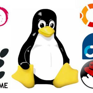 Sácale el máximo provecho al Software Libre con este curso dirigido a que exprimas todos los recursos que te brinda Internet