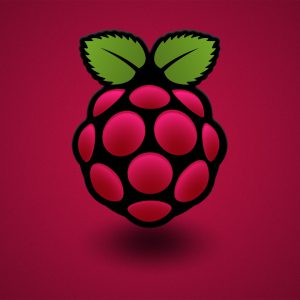 Aprende a poner en marcha este maravilloso microordenador y ¡haz cosas increíbles con el!