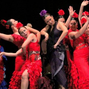 En este curso online vas a aprender una coreografía sobre un tema de fandangos. Curso con nivel inicial. También se enseña un poco de técnica. Coreografía del baile completa.