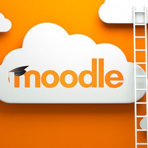 Vas a aprender a crear tu aula virtual, crear actividades y recursos, editarlos además de gestionar a tus estudiantes.