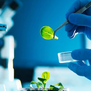 En este videocurso online los participantes adquirirán las herramientas metodológicas necesarias para que puedan elaborar trabajos de investigación de calidad.