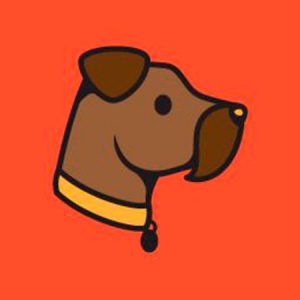 Aprende las técnicas básicas para correcto mantenimiento y cuidado del pelo y la piel de tu perro en casa, no es necesario ningún conocimiento técnico previo.