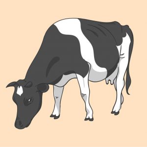 Este curso te ayudará a conocer el mundo de la carne más de cerca. Conseguirás una visión profunda del sector desde la perspectiva de un profesional con muchos años de experiencia.