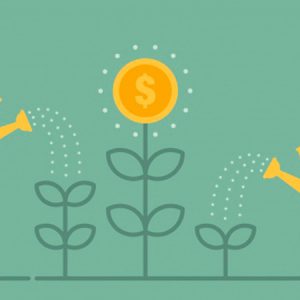 Descubre una visión social del emprendimiento con casos prácticos de México y en cómo se puede realizar, desde el primer momento, de una forma global.