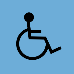 Análisis de modelos teóricos y de tratamiento.
Interpretación del modelo social desde los derechos humanos.
Postulación de la dignidad, la libertad y la igualdad en el contexto de la discapacidad.
Universalidad del tratamiento inclusivo de la discapacidad.