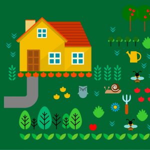 Aprende las bases de la agricultura ecológica que necesitas para el cultivo ecológico de tu huerto familiar de autoconsumo