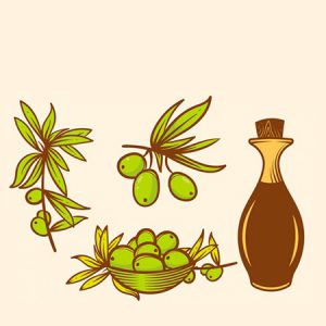Curso online bonificable por la Fundación Tripartita. Aprenderás todo sobre el Aceite, desde el olivo,el proceso Recolección y Elaboración, hasta la Cata.