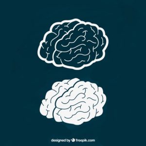 Con este curso adquirirás principios de programación neurolingüística que cambiarán tu vida