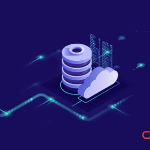 Hoy en día, para hacer una aplicación decente, necesitamos manejar bases de datos.
En este curso, aprenderás como realizar consultas en SQL sin experiencia previa, de las más simples a las más complejas.
Usaremos el entorno Oracle Live.